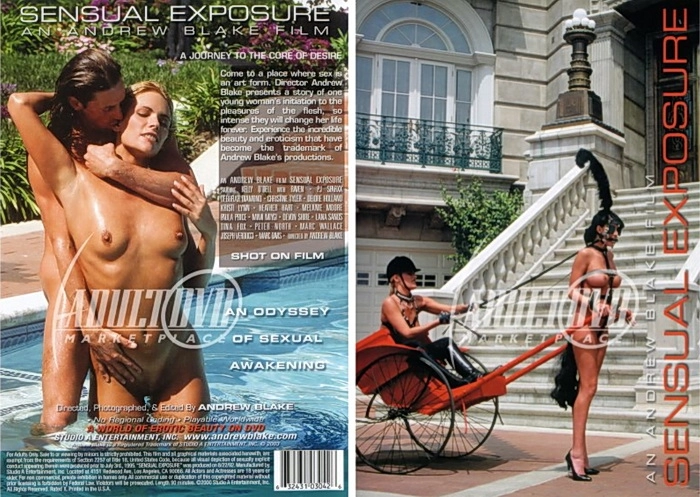 Тайные наваждения 2 / Obsessions cachees 2 (1993)